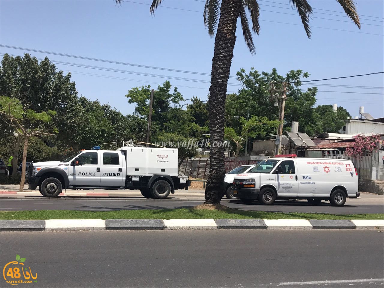 bentsfbuyvey (2).jpg